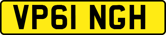VP61NGH