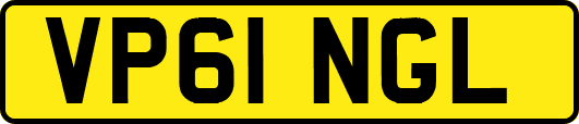 VP61NGL