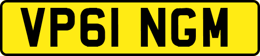 VP61NGM