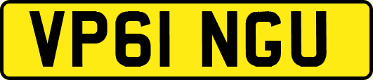 VP61NGU