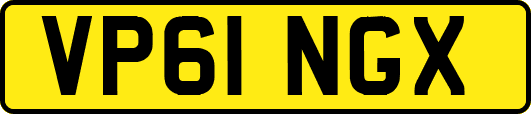 VP61NGX