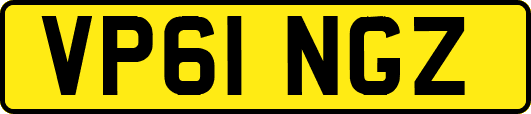 VP61NGZ
