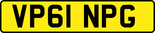 VP61NPG