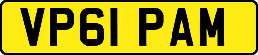 VP61PAM
