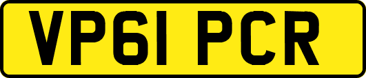 VP61PCR