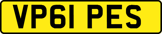 VP61PES