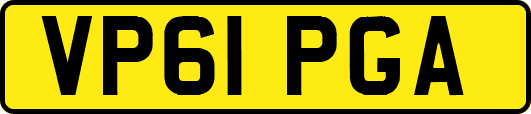 VP61PGA