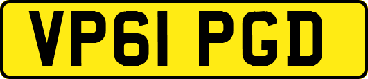 VP61PGD