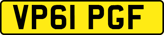 VP61PGF