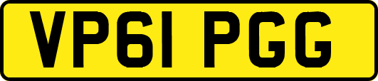 VP61PGG