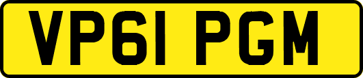 VP61PGM