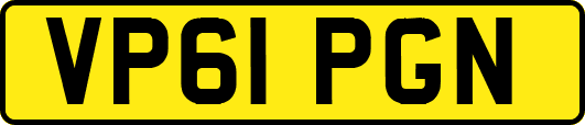 VP61PGN