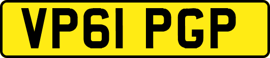 VP61PGP