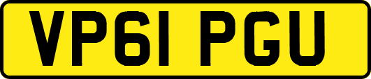 VP61PGU