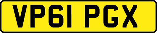 VP61PGX