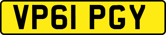 VP61PGY
