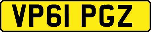 VP61PGZ