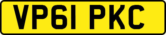 VP61PKC