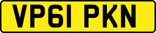 VP61PKN