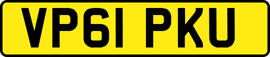 VP61PKU