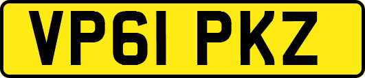 VP61PKZ