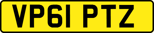 VP61PTZ
