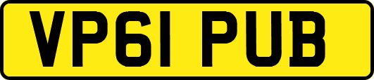 VP61PUB