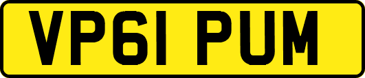 VP61PUM
