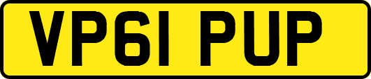 VP61PUP