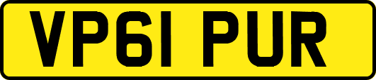 VP61PUR
