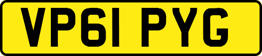 VP61PYG