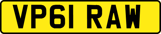 VP61RAW