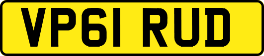 VP61RUD