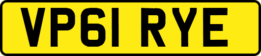 VP61RYE