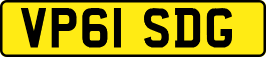 VP61SDG