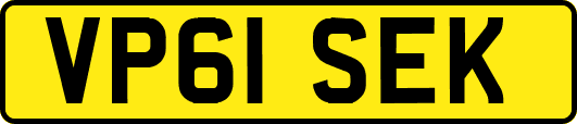 VP61SEK