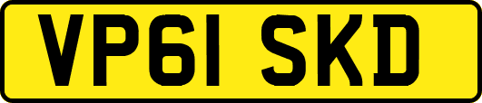VP61SKD