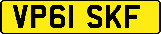 VP61SKF