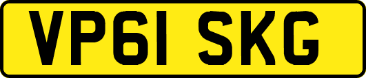 VP61SKG