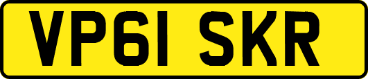 VP61SKR