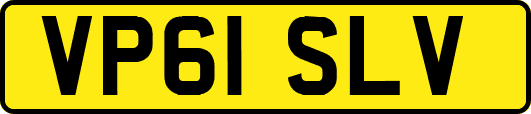 VP61SLV