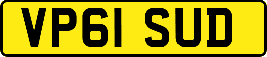 VP61SUD