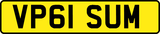 VP61SUM