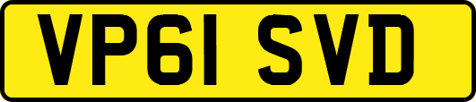 VP61SVD