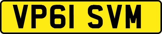 VP61SVM