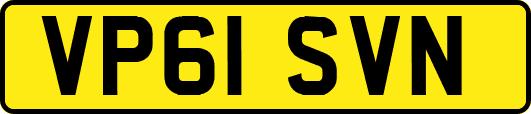 VP61SVN
