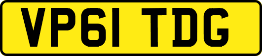 VP61TDG