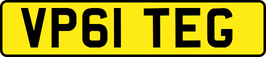 VP61TEG