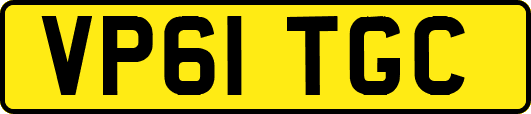 VP61TGC
