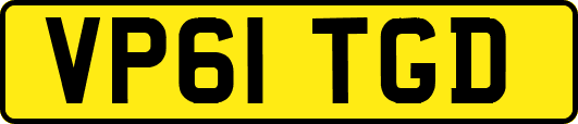 VP61TGD